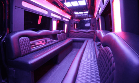 Overland Park 14 Passenger Sprinter Bus Interior